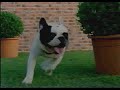 Funny Foriegn Epson Commercial