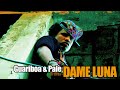 DAME LUNA (Guariboa & Pale)