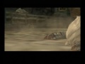 final fantasy xii parte 25