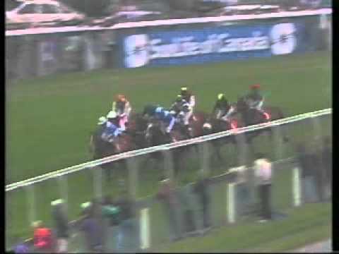 racing results cheltenham