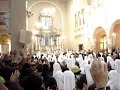 toca de assis noviciado