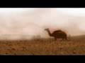 The Sahara - HD Mix Meditation Music Video - Darren Worth