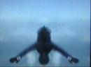 Tandem Skydive