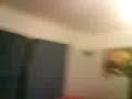 12 Coin Catch 12 Coin Catch