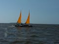 SeaPearl Trimarans sailing at Cedar Key - May 2008