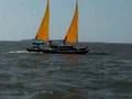 SeaPearl Trimarans sailing at Cedar Key - May 2008