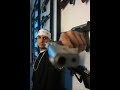 alpa gun   anam icin   für mama  