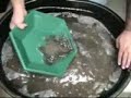 Hex Gold Pan Demo Video Hex Gold Pan Demo Video