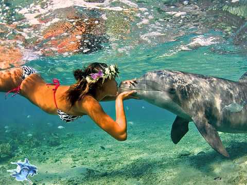 John McLaughlin – The Dolphin