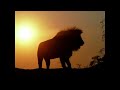 Primavera – Ludovico Einaudi
