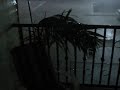 DSCN3827