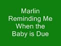 harvest-moon-ds-cute-pregnancy-and-birth-with-marlin.html