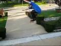 Angelos part