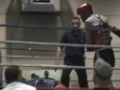 boxe tha� raphael