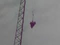 Icaro HOPI HARI .. hadikali