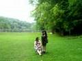 Bardic Competition - Lumberton, June 608