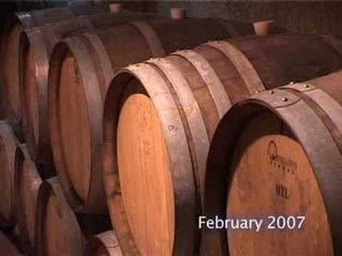 Episode 22 - 2007 South African Harvest