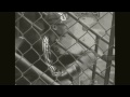 Click here to watch this video LogictheW!SE - VisionQuest