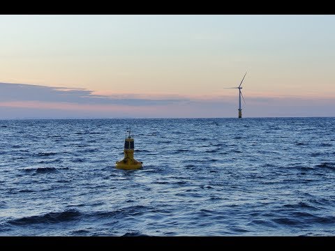 Aanderaa MOTUS wave buoys deployment