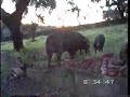 El Berraco El Berraco