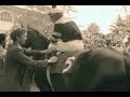 Seattle Slew War Dances To The 1977 Triple Crown