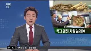 뉴스투데이