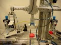 Proyecto ITESM León, Nov 2008. Simulación Automatización de Planta con módulos Festo Didactic y Módulo Allen Bradley con Tarjetas de red Ethernet, COntrolnet, y Devicenet y uso de PanelView