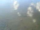 Balne�rio de Mucurici - ES