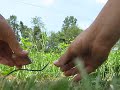5 pound pipe shot in air over electrical towers