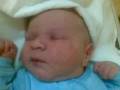 videos de 19112008(001)