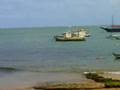 PRAIA-DO-FORTE-BA