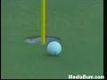 great shot
