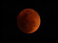Lunar Eclipes in South Australia Lunar Eclipes in South Australia
