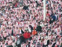 Cracovia - Wisła | Derby 31.08.08 - ZAPOWIEDZ