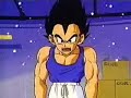 Vegeta Kicked My Dog