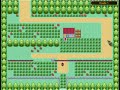 Pokemon App Beta Testing