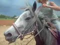Cowgirls Saddle