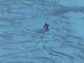 sci