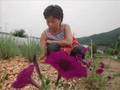 yunhee(dajunghe2)zi-a 수호천사