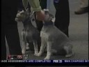 KOKH Channel 25 Coverage of Westminster Pet Blessing