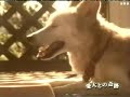 バイバイ　亮