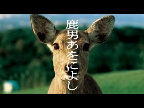 動画