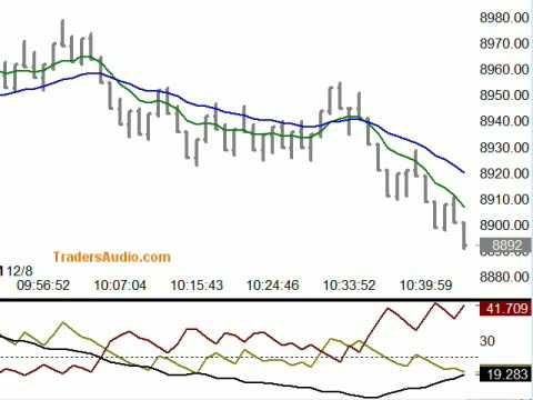 Forex squawk box