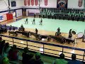 pace high school's show 