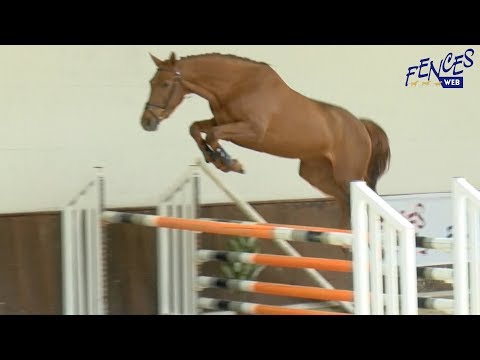 PIA MARIA VIDEO FENCES 2018