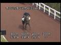 videos de [調教] 081008 マンハッタンスカイ 「京都大賞典」前追い切り
