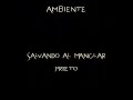 concierto por el medio ambiente salvando al manglar prieto artistas participantes: grupo son de la noche y tonana