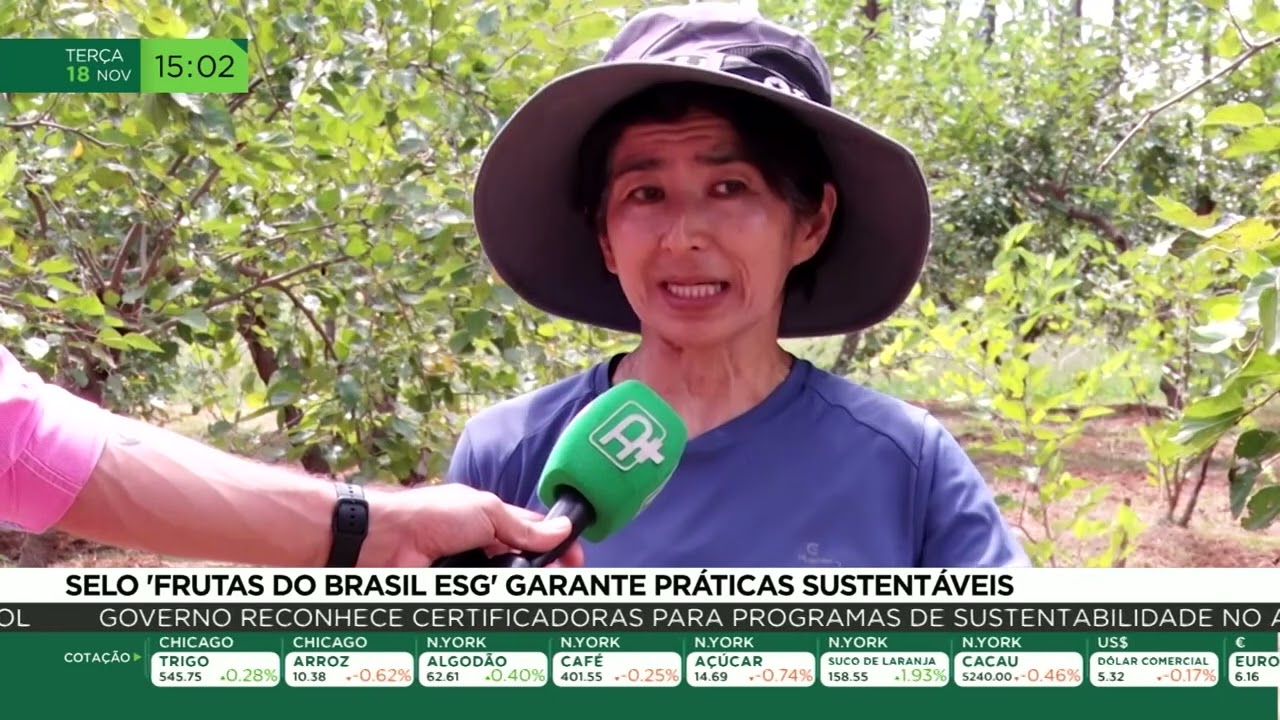 Selo "Frutas do Brasil ESG" garante práticas sustentáveis