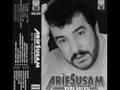 Arif Susam   Veda Gecesi