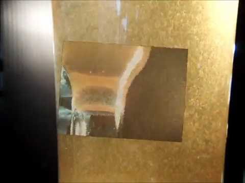 how to collect vinegar eels